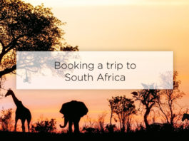 booking a trip to south africa