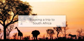 booking a trip to south africa