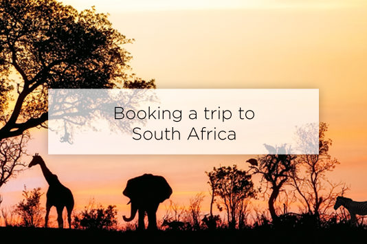 booking a trip to south africa