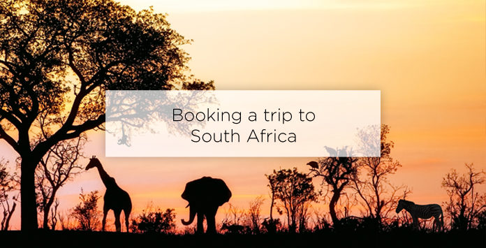 booking a trip to south africa