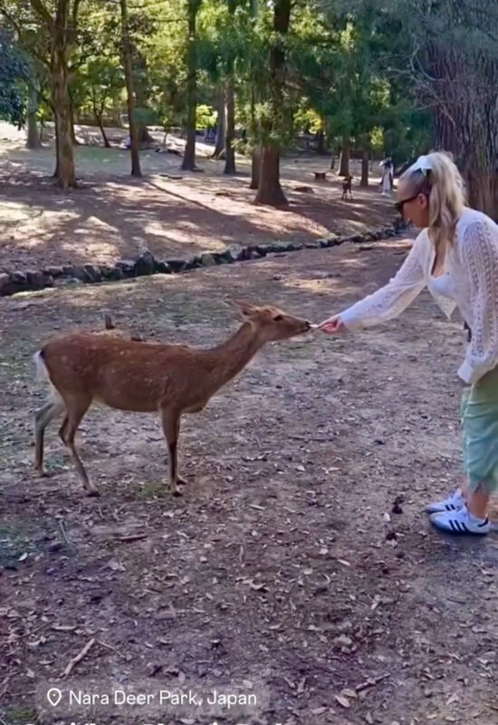 Nara Deer Park